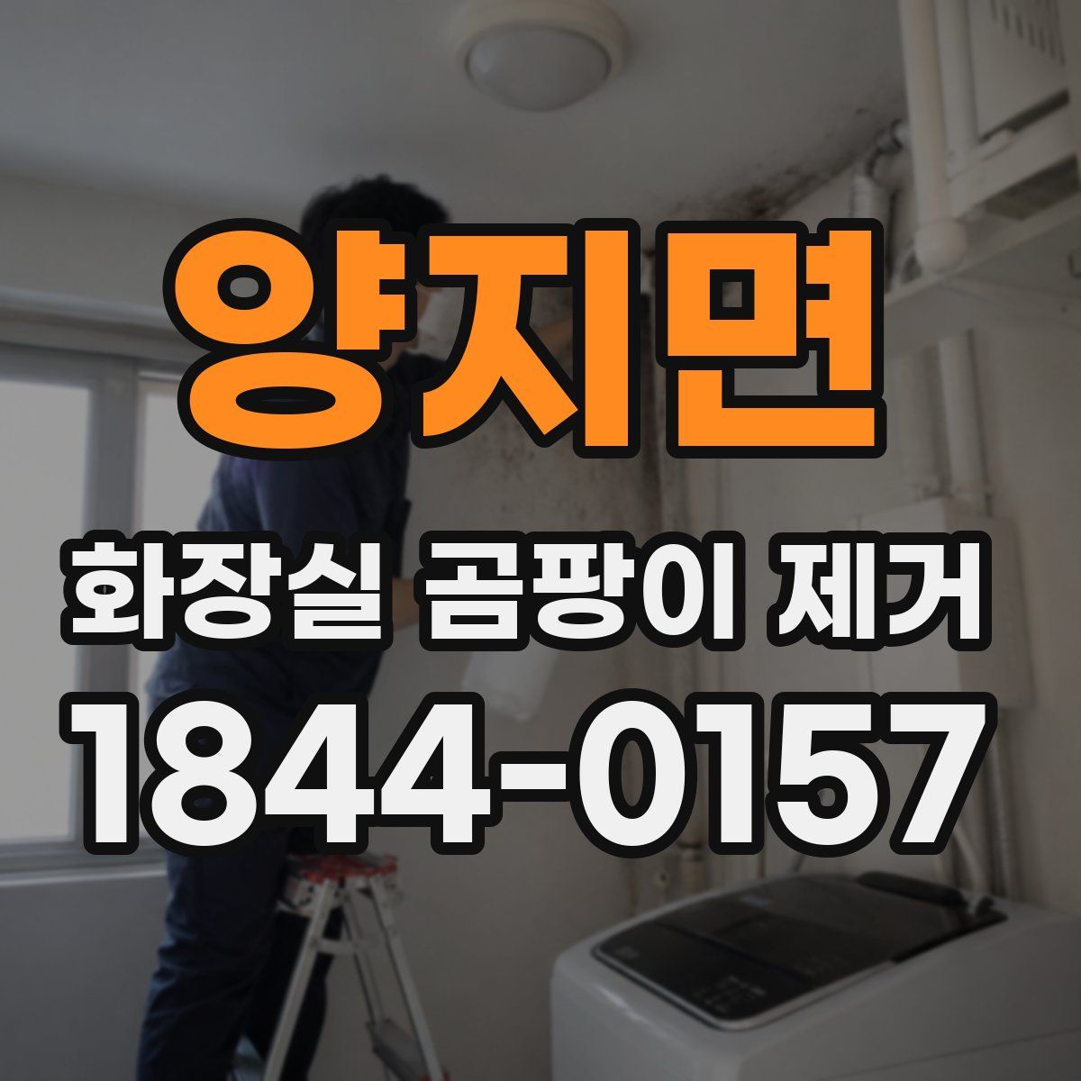 양지면 화장실 곰팡이 제거