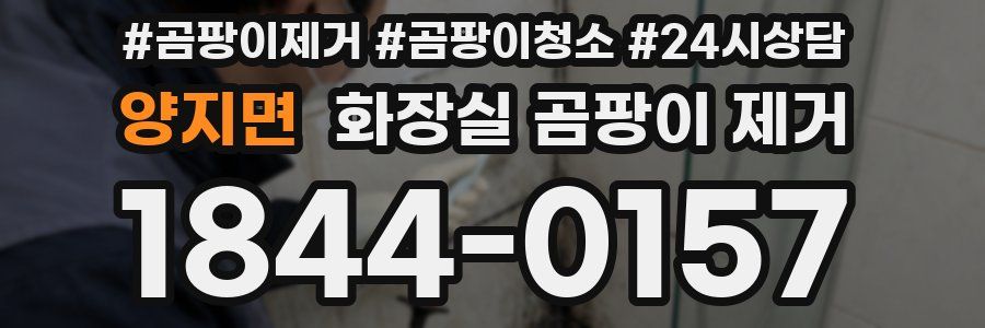 양지면 화장실 곰팡이 제거