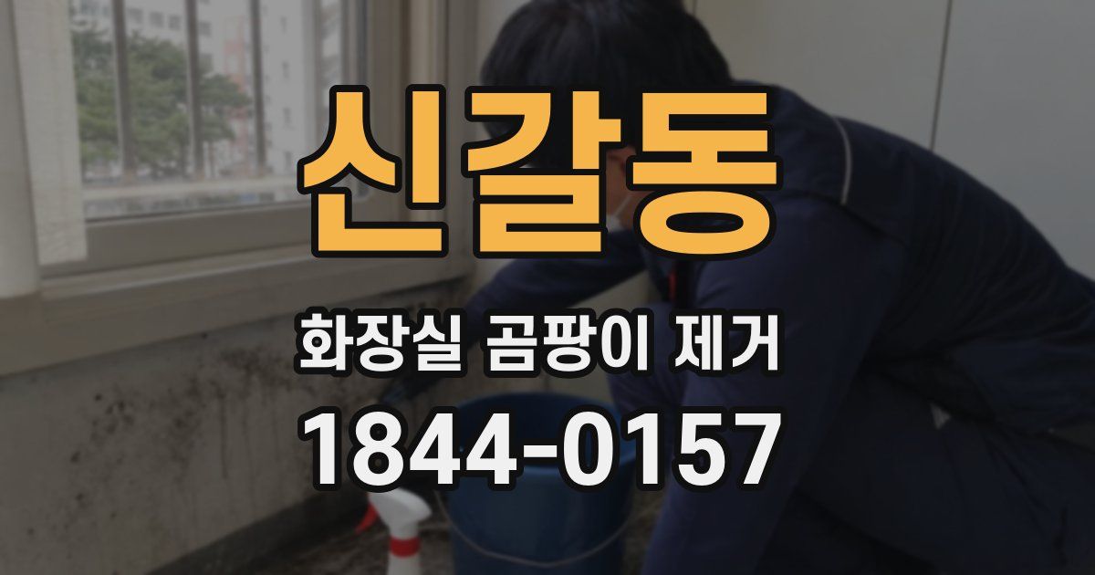 신갈동 화장실 곰팡이 제거
