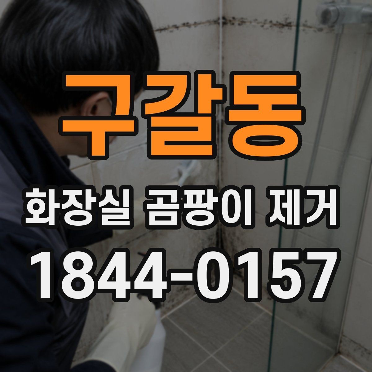 구갈동 화장실 곰팡이 제거 욕실 구조별 취약 지점을 살펴보는 법