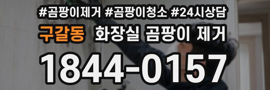 구갈동 화장실 곰팡이 제거