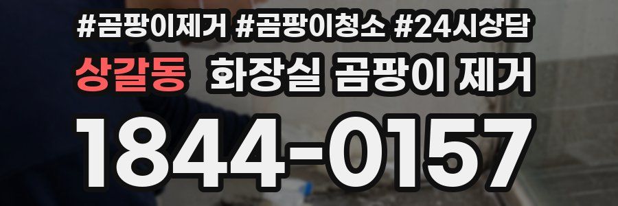 상갈동 화장실 곰팡이 제거