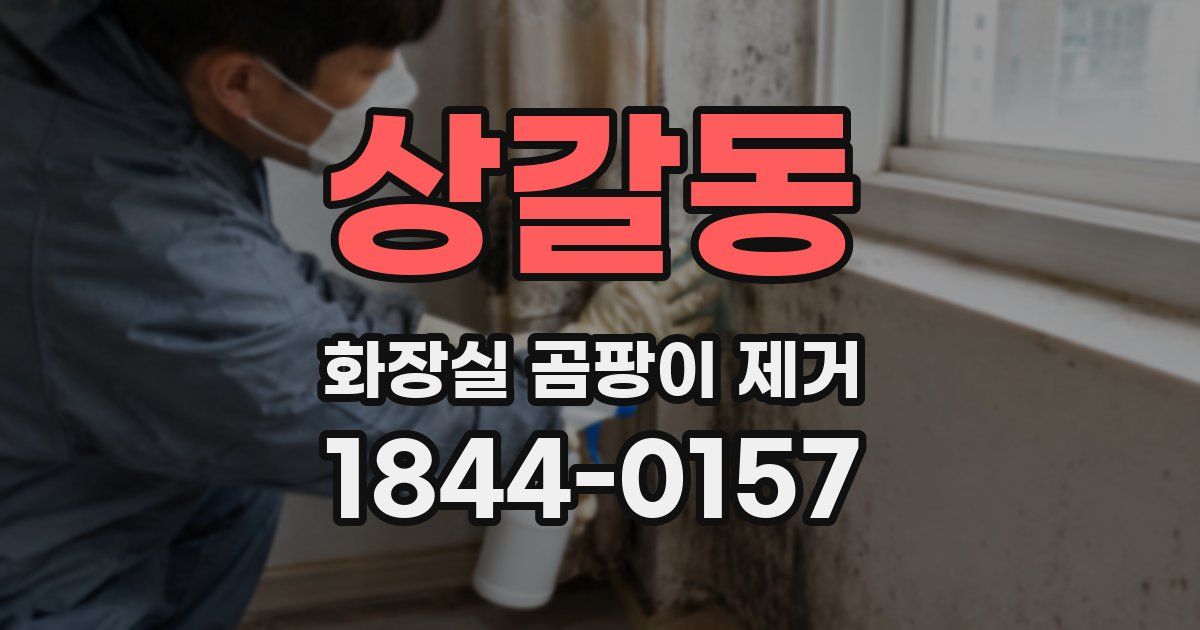 상갈동 화장실 곰팡이 제거