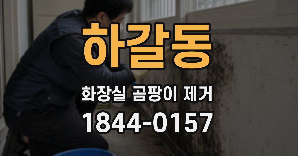 하갈동 화장실 곰팡이 제거