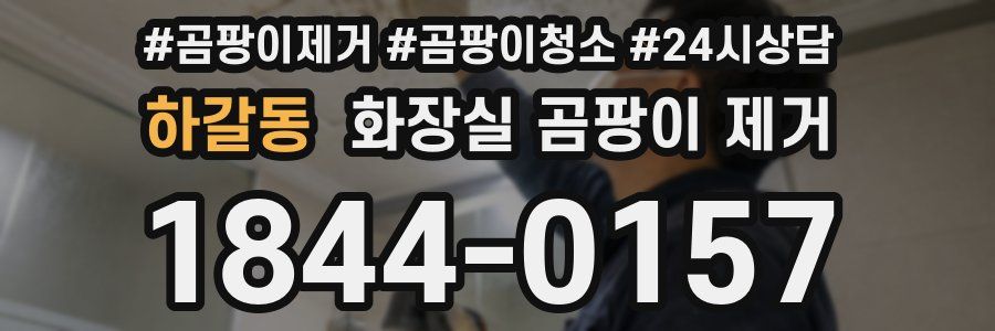 하갈동 화장실 곰팡이 제거