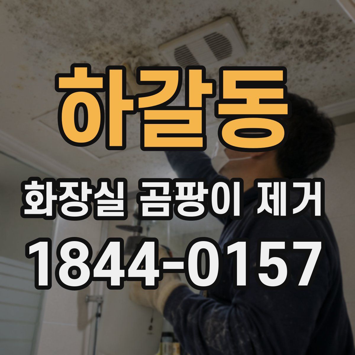 하갈동 화장실 곰팡이 제거