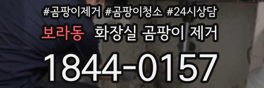 보라동 화장실 곰팡이 제거