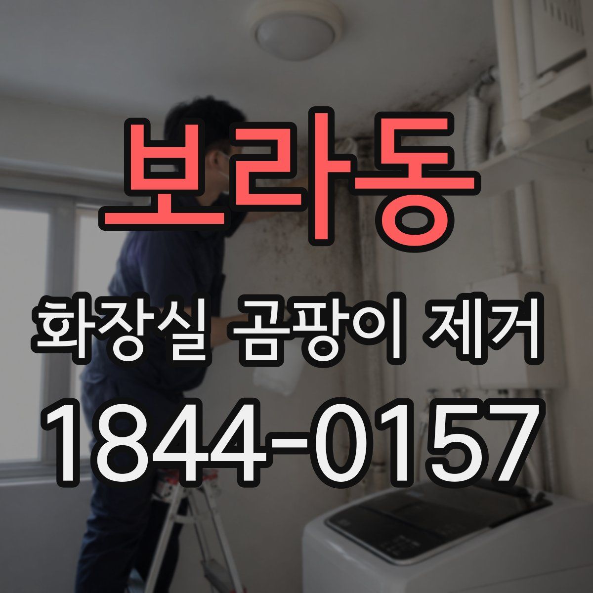 보라동 화장실 곰팡이 제거