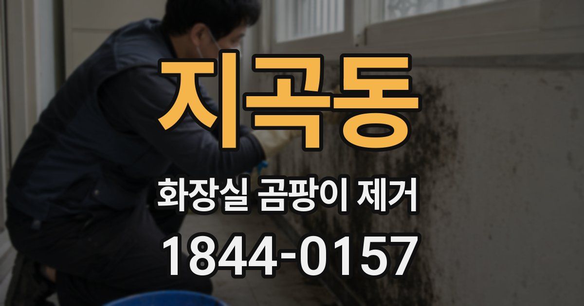 지곡동 화장실 곰팡이 제거