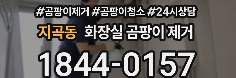 지곡동 화장실 곰팡이 제거