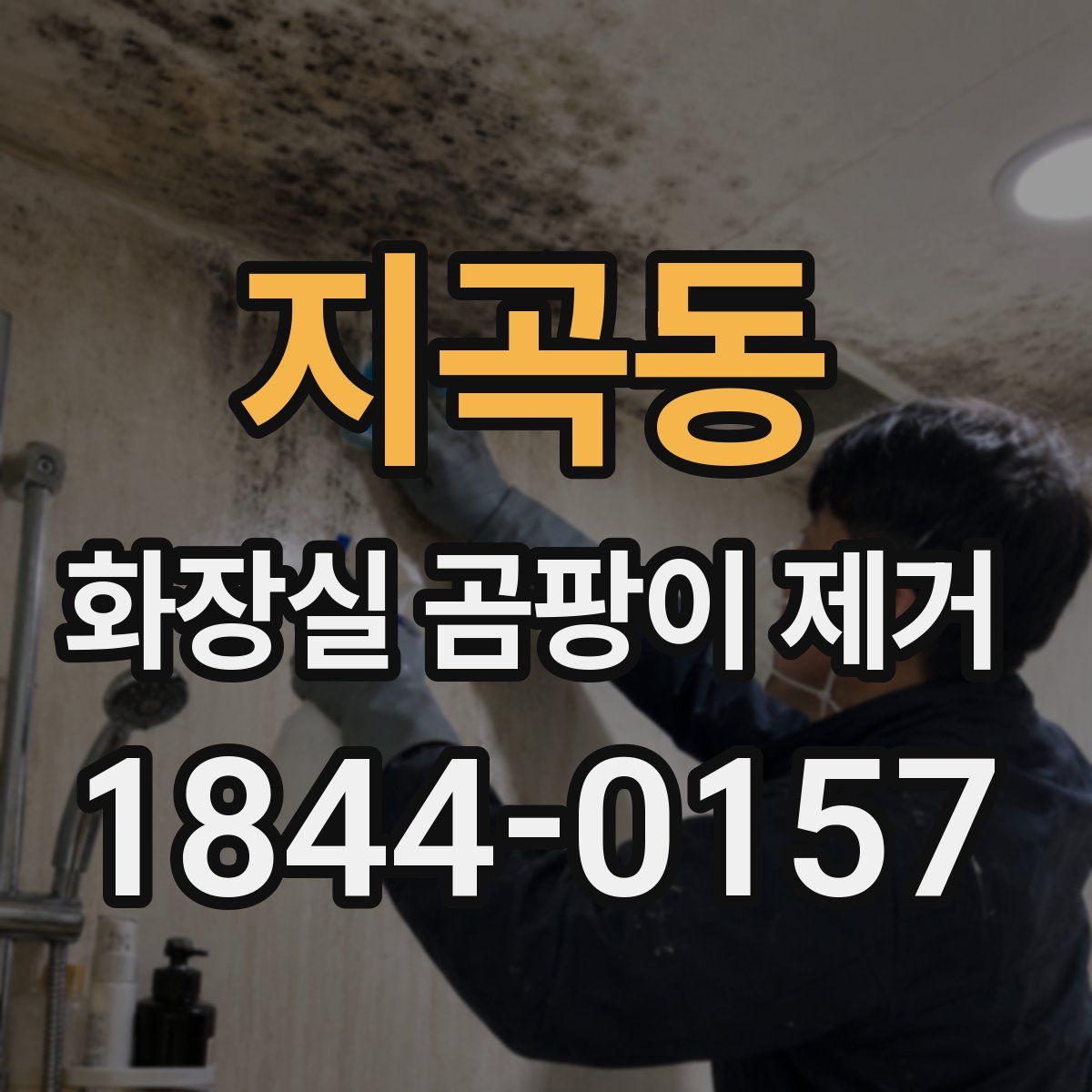 지곡동 화장실 곰팡이 제거