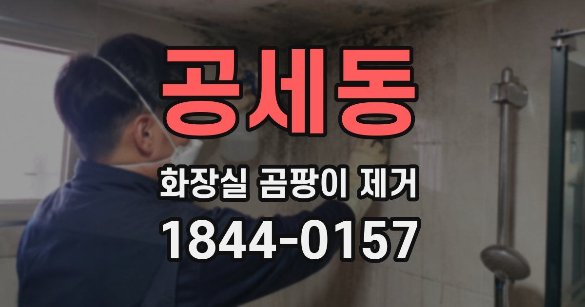 공세동 화장실 곰팡이 제거