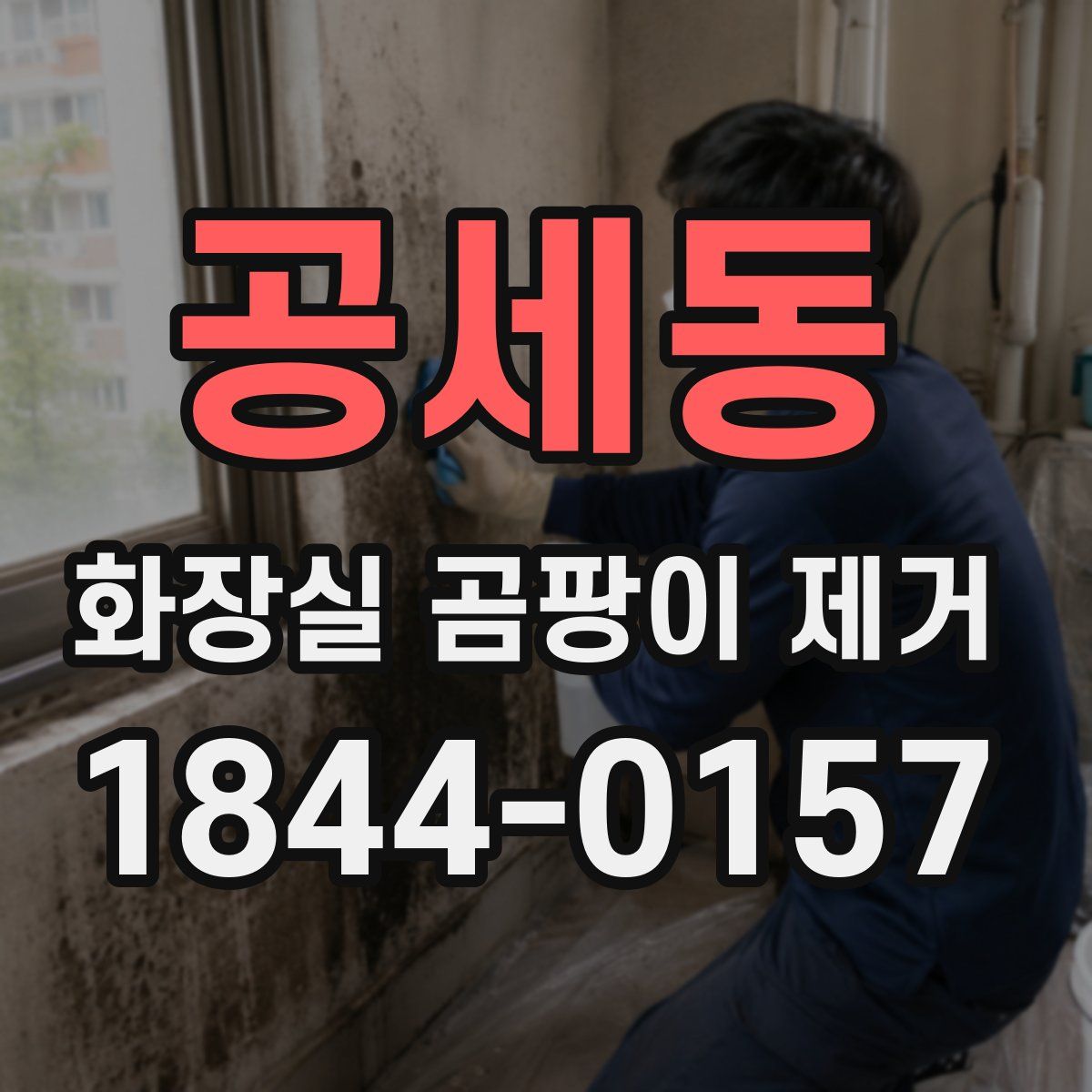 공세동 화장실 곰팡이 제거