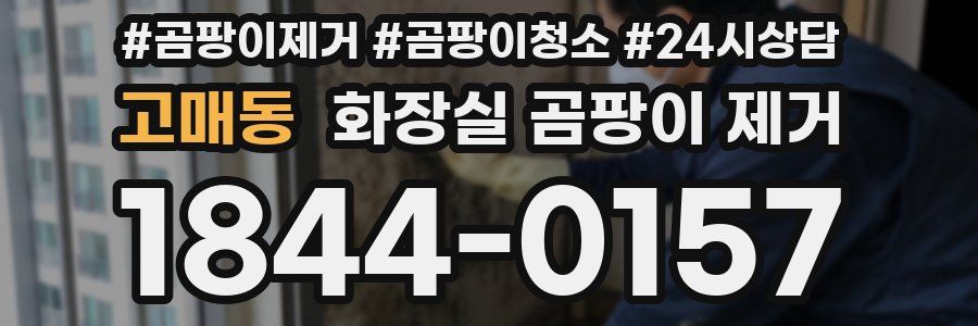 고매동 화장실 곰팡이 제거