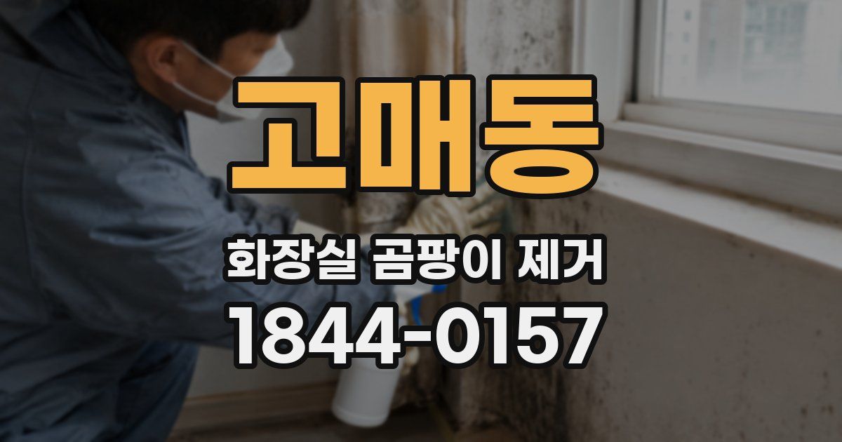 고매동 화장실 곰팡이 제거