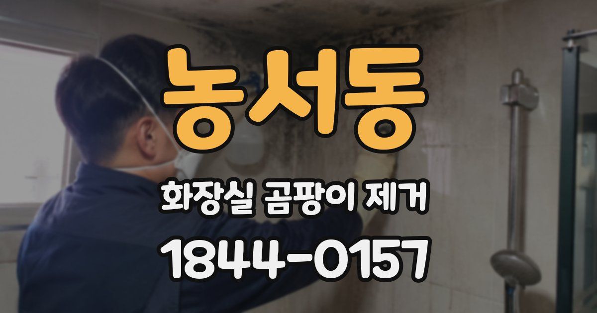 농서동 화장실 곰팡이 제거