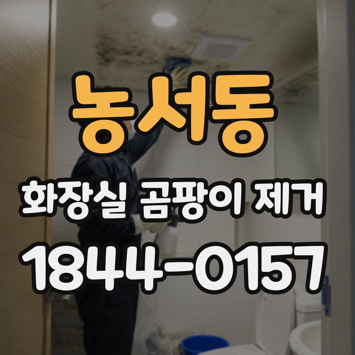농서동 화장실 곰팡이 제거