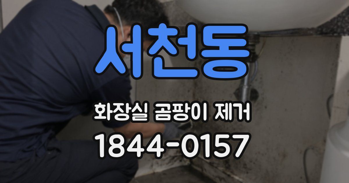 서천동 화장실 곰팡이 제거