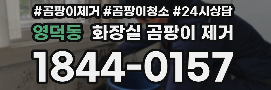 영덕동 화장실 곰팡이 제거