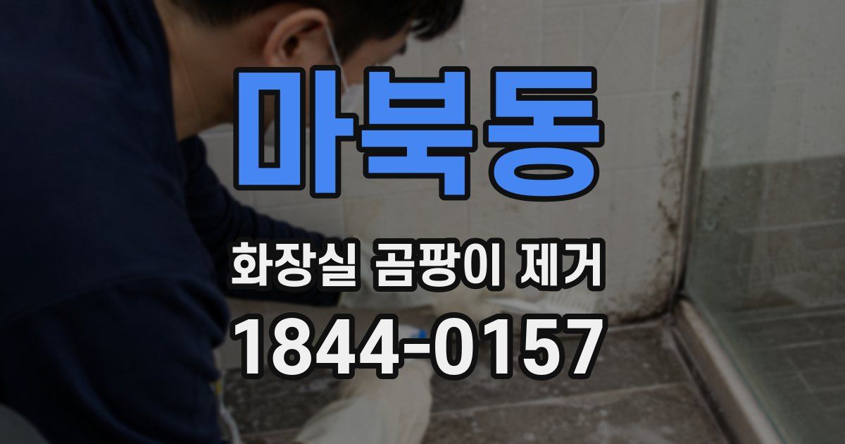 마북동 화장실 곰팡이 제거