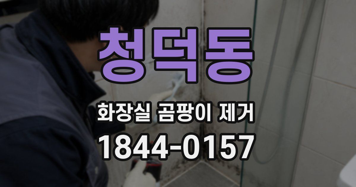 청덕동 화장실 곰팡이 제거