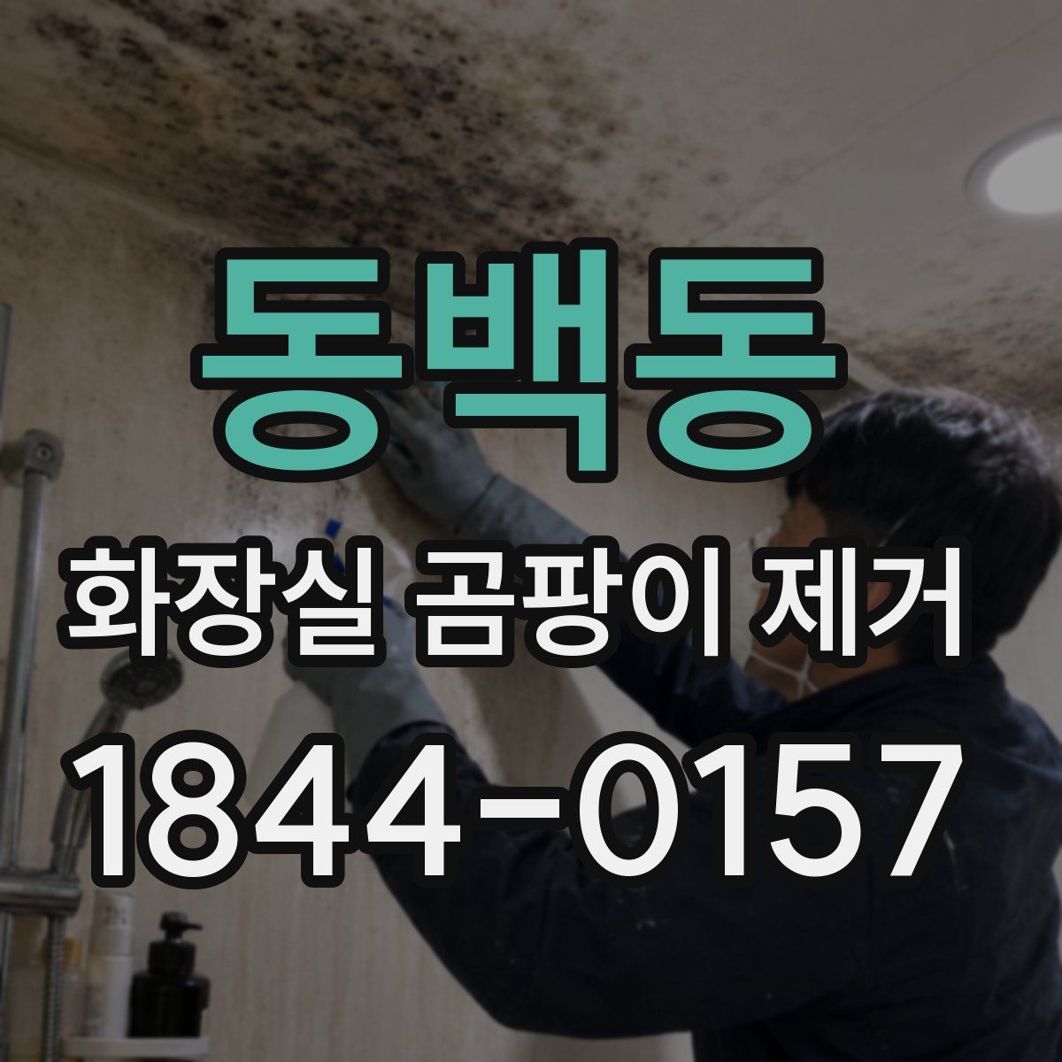 동백동 화장실 곰팡이 제거