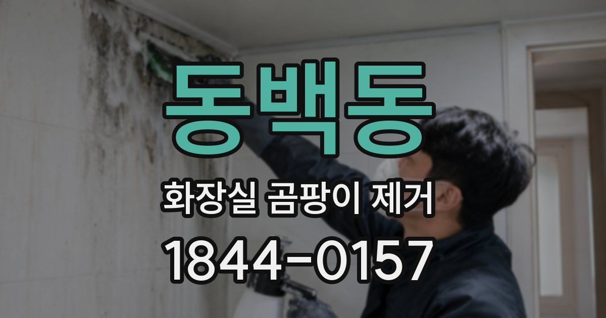 동백동 화장실 곰팡이 제거