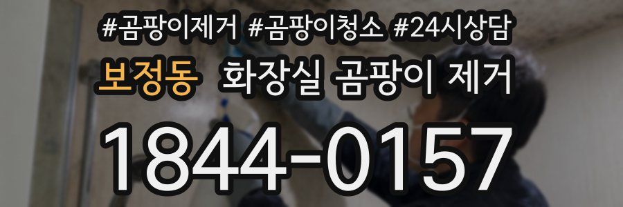 보정동 화장실 곰팡이 제거