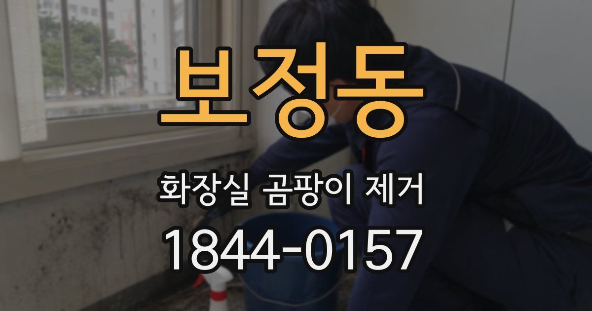 보정동 화장실 곰팡이 제거