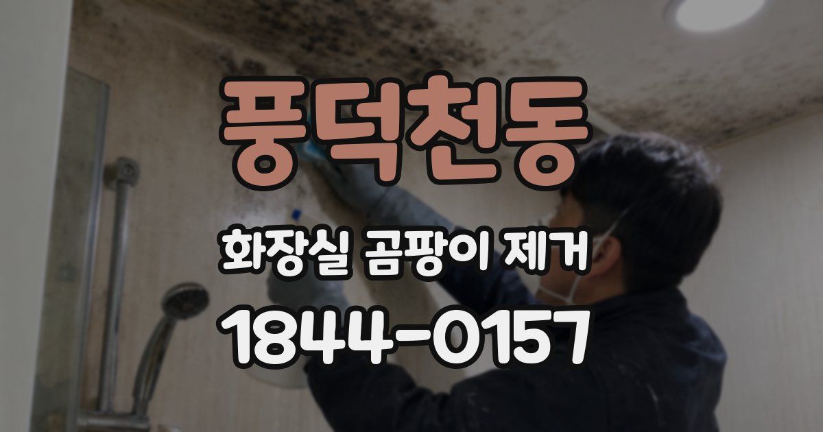 풍덕천동 화장실 곰팡이 제거