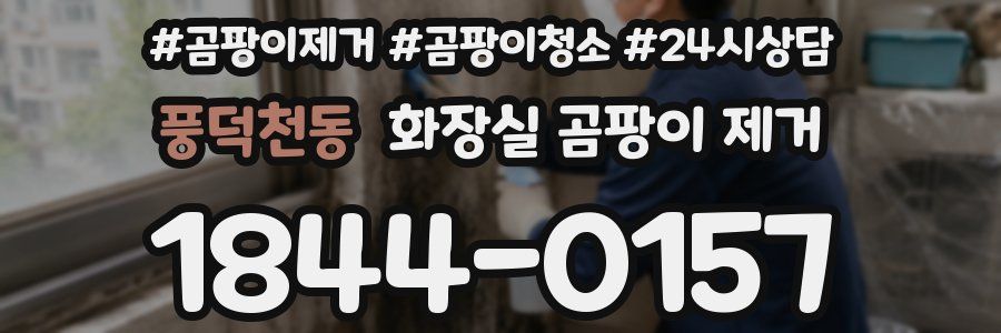 풍덕천동 화장실 곰팡이 제거