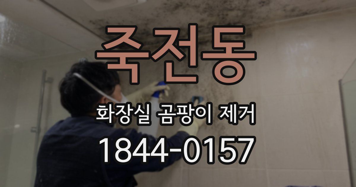 죽전동 화장실 곰팡이 제거