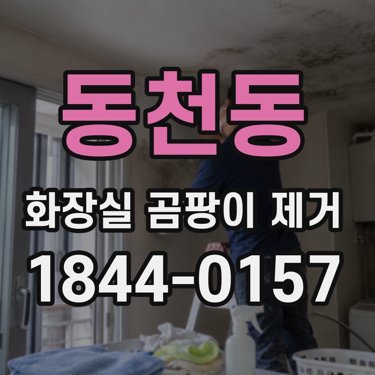 동천동 화장실 곰팡이 제거 아이와 반려동물 있는 집의 안전 수칙