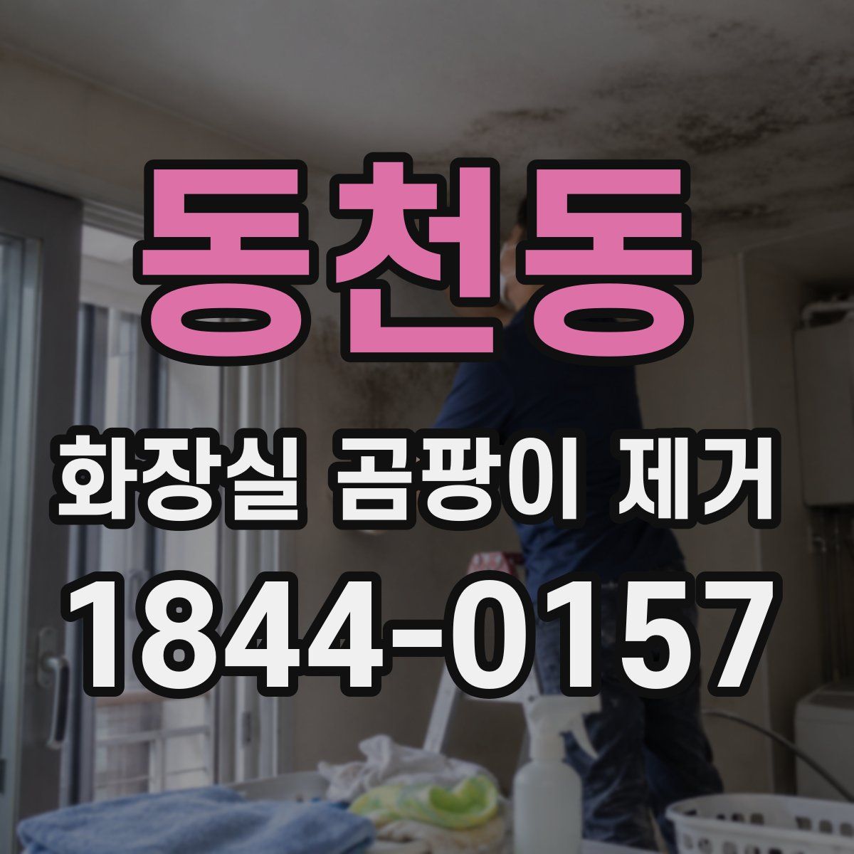 동천동 화장실 곰팡이 제거