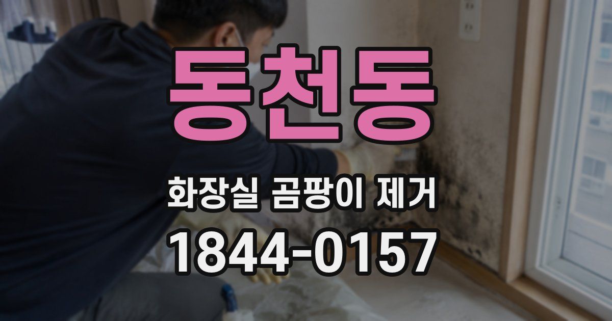 동천동 화장실 곰팡이 제거