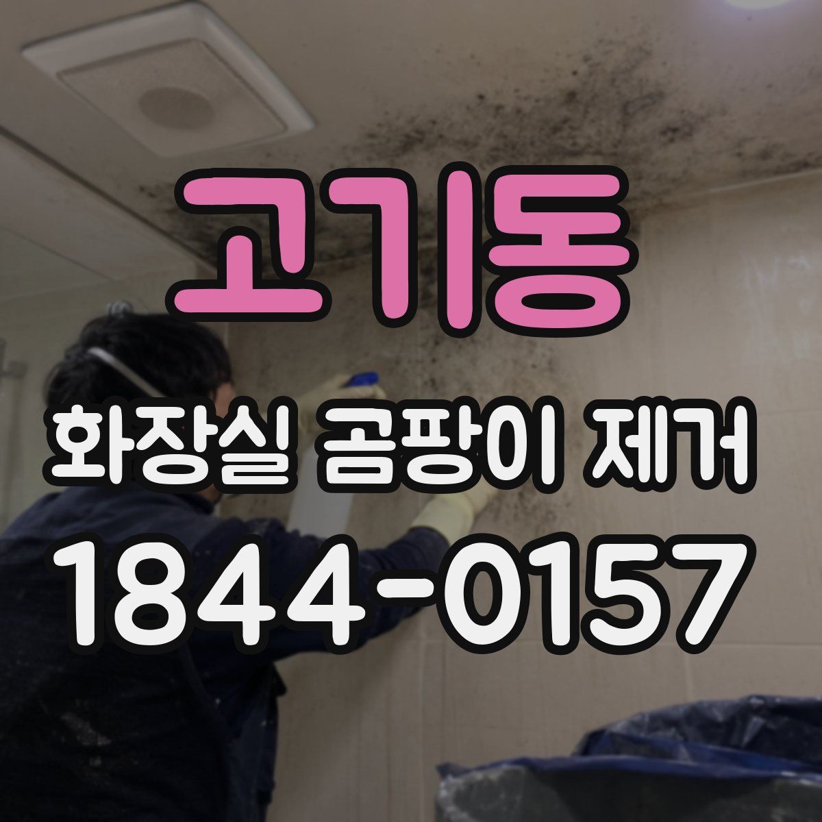 고기동 화장실 곰팡이 제거