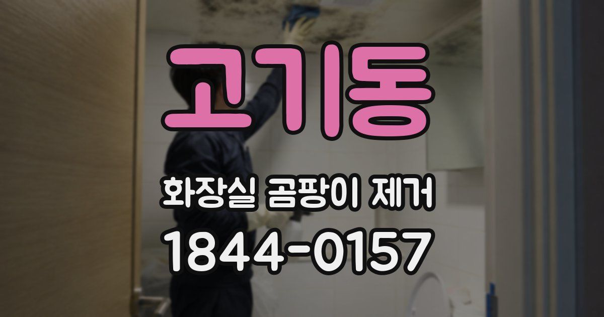 고기동 화장실 곰팡이 제거