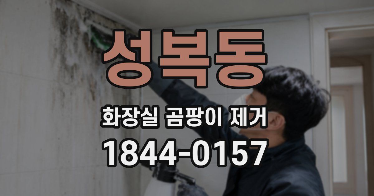 성복동 화장실 곰팡이 제거