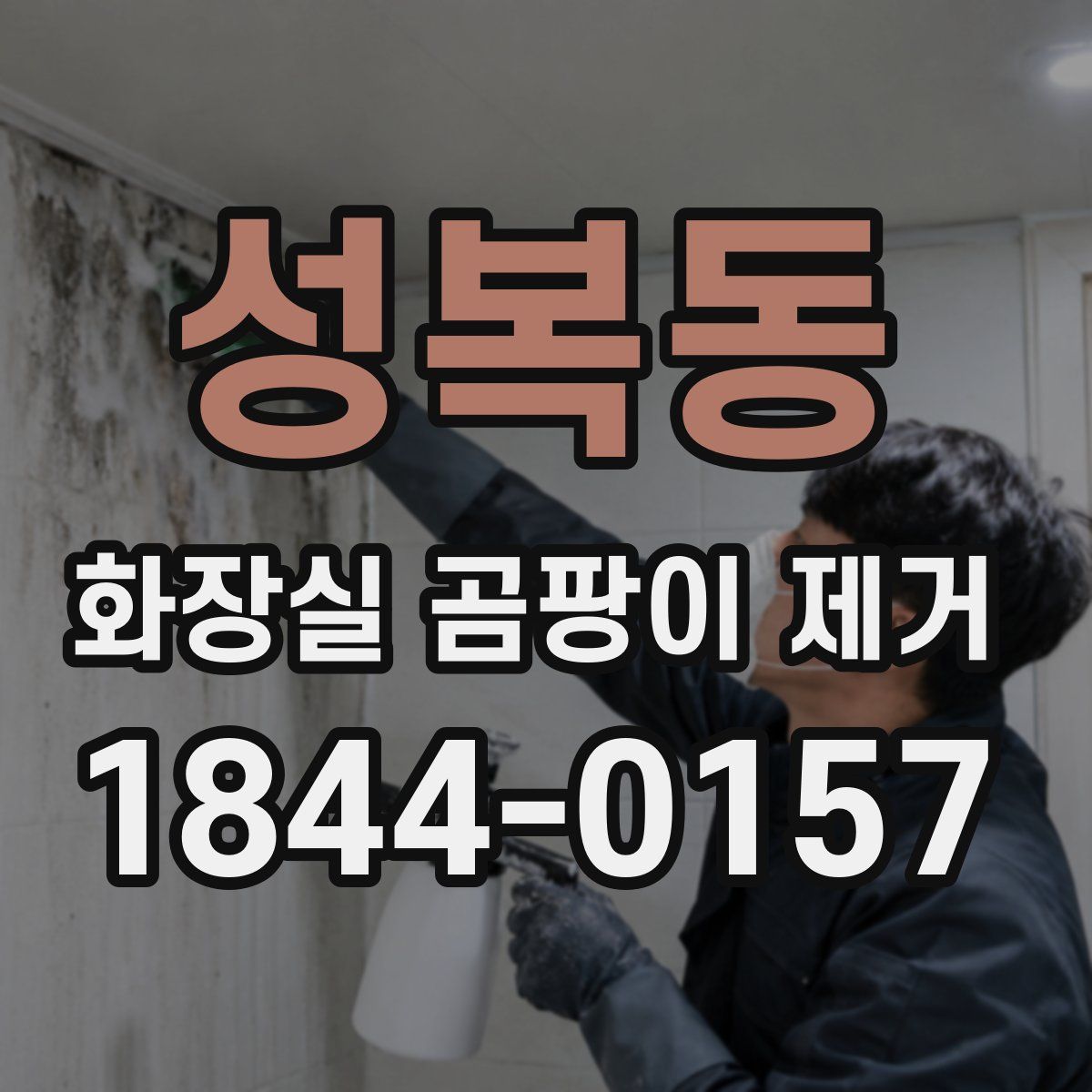 성복동 화장실 곰팡이 제거