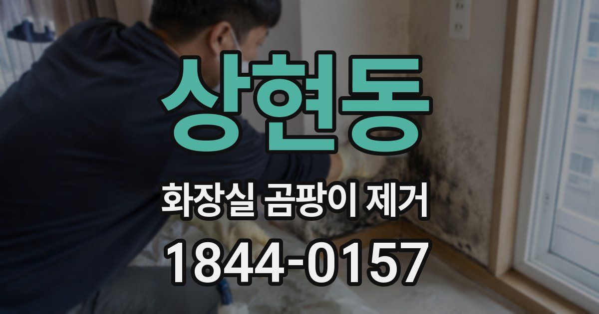 상현동 화장실 곰팡이 제거