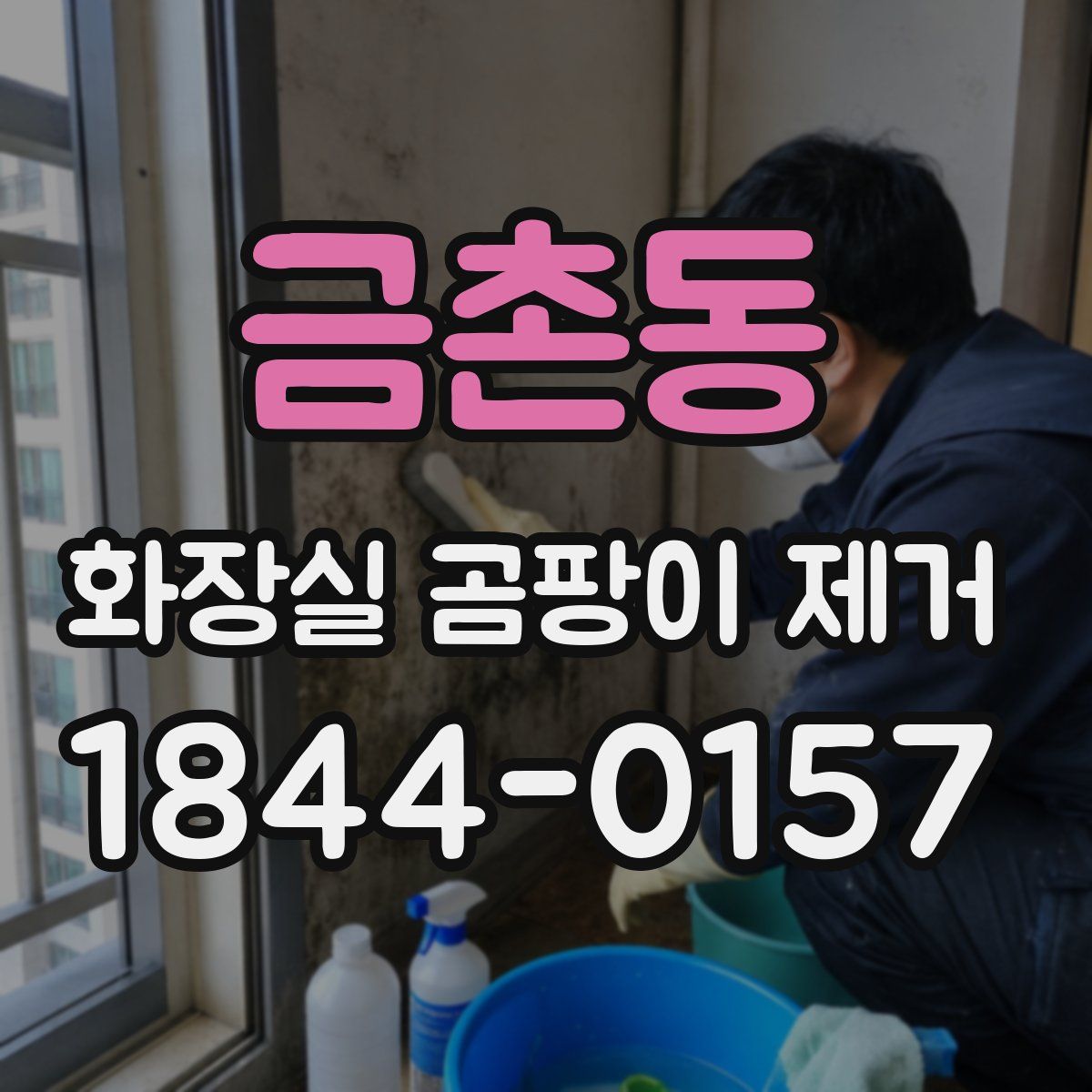 금촌동 화장실 곰팡이 제거