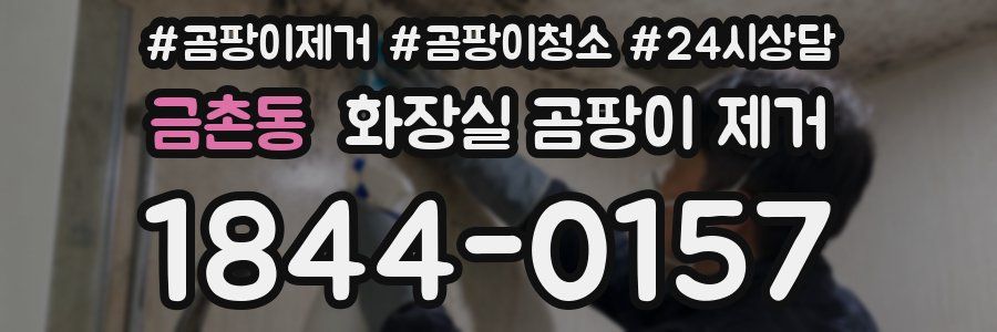 금촌동 화장실 곰팡이 제거