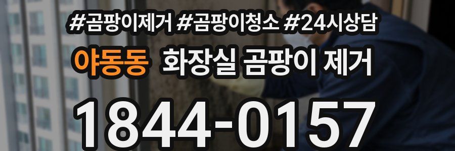 야동동 화장실 곰팡이 제거