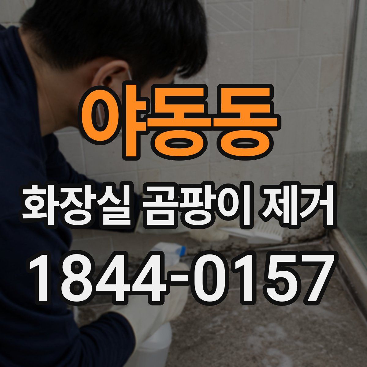 야동동 화장실 곰팡이 제거