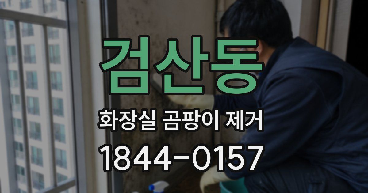 검산동 화장실 곰팡이 제거