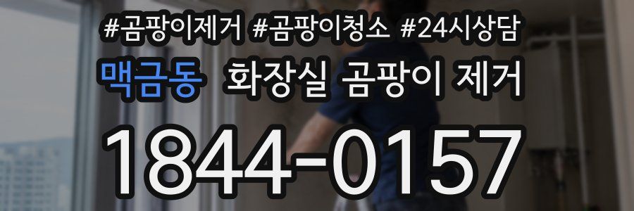 맥금동 화장실 곰팡이 제거