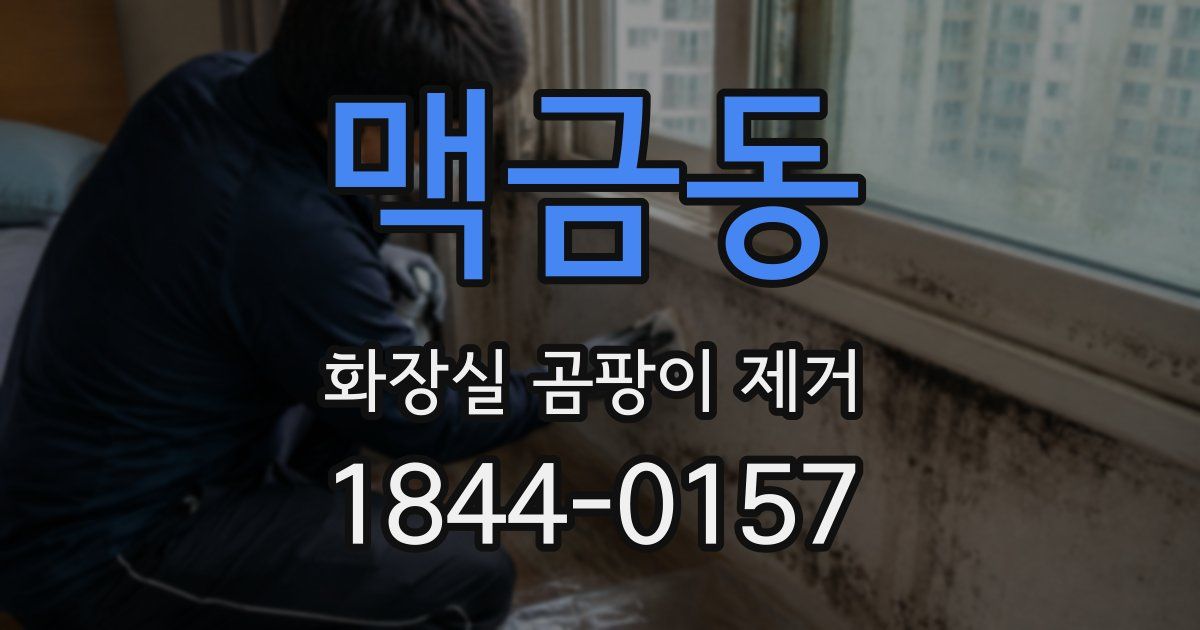 맥금동 화장실 곰팡이 제거