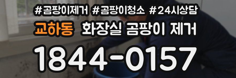 교하동 화장실 곰팡이 제거
