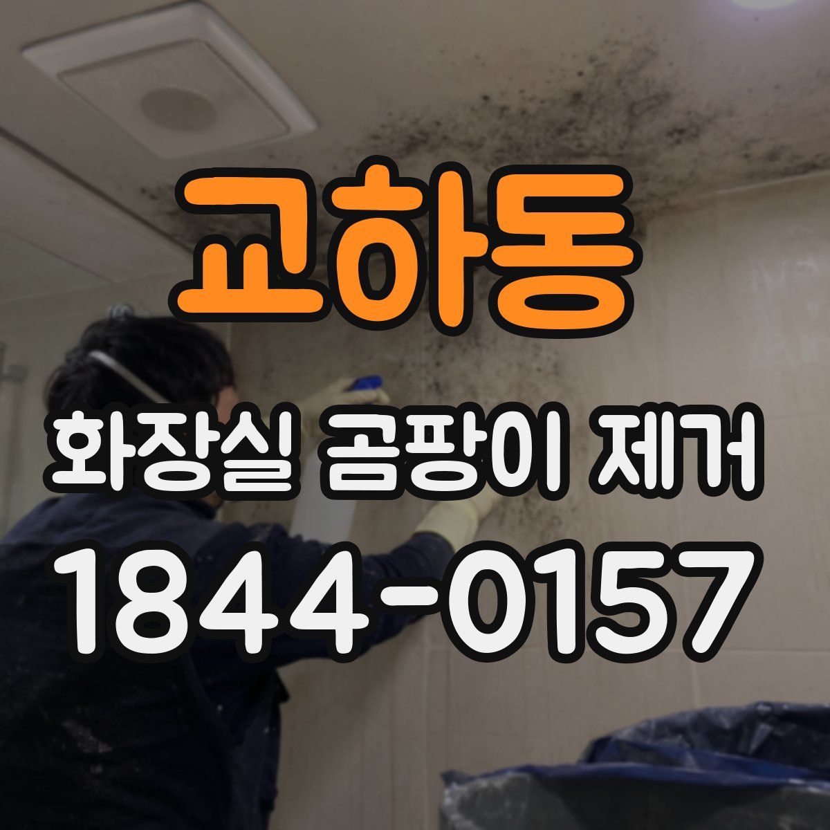 교하동 화장실 곰팡이 제거