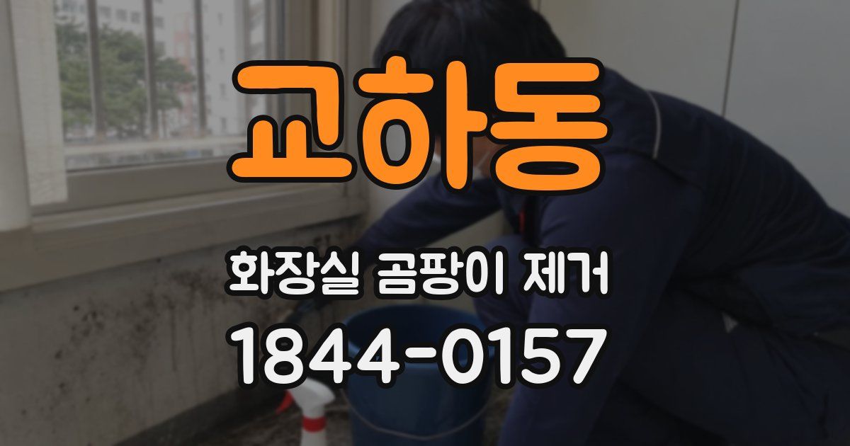 교하동 화장실 곰팡이 제거